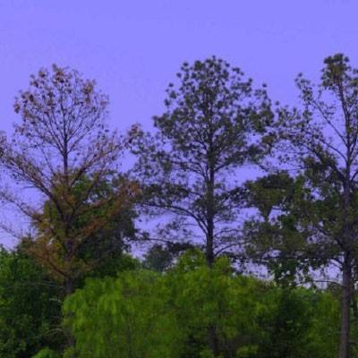 Welcome彩票中心注册大厅进入app下载