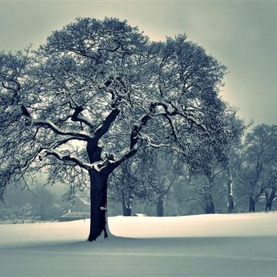 云开平台app最新版