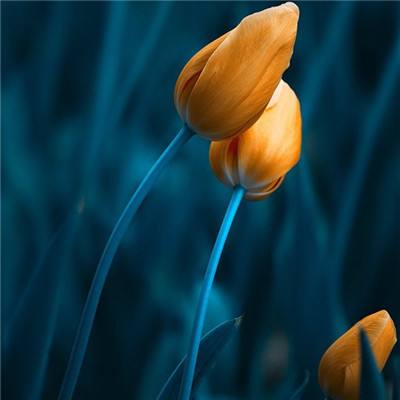 乐鱼平台app下载